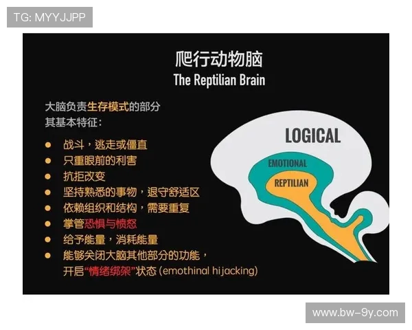 深入解析足球比赛中补水概念的英文表达与实用沟通技巧策略指南篇